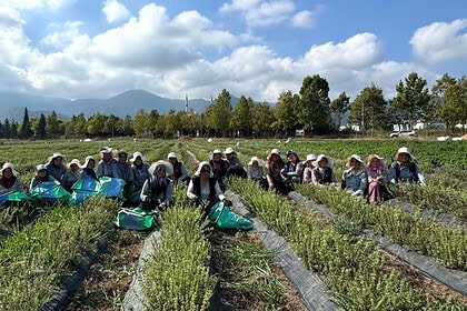 TABİP’te Üretimden Markalaşmaya Uzanan Hasat