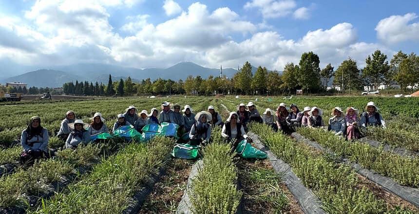 TABİP’te Üretimden Markalaşmaya Uzanan Hasat