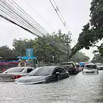 Bangkok'ta Sel Felaketi: 50 İlçenin Tamamı Afet Bölgesi İlan Edildi