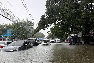 Bangkok'ta Sel Felaketi: 50 İlçenin Tamamı Afet Bölgesi İlan Edildi