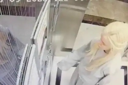 Çağla Öz Malvarlığı Aklamaktan Tutuklandı: Gözaltı Öncesi Görüntüler Çıktı