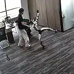 Çin'de İnsansı Robot Tanıtımda Geliştiricisine Tekme Attı