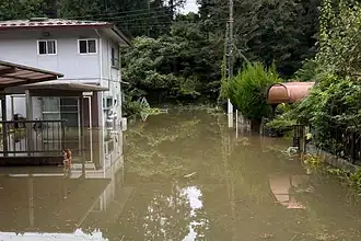 Dujuan Tayfunu Japonya'da Can Aldı: Ölü Sayısı 9'a Yükseldi