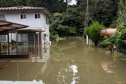 Dujuan Tayfunu Japonya'da Can Aldı: Ölü Sayısı 9'a Yükseldi