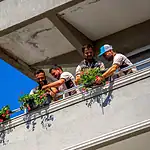 Gebze'de 128 Daireye Sardunya Ulaştı: Balkonlar Çiçek Açtı, Komşular Birleşti
