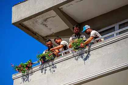 Gebze'de 128 Daireye Sardunya Ulaştı: Balkonlar Çiçek Açtı, Komşular Birleşti