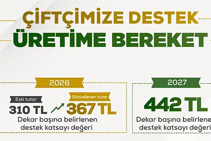 Tarım Destekleri Resmi Gazete'de: Mercimek ve Nohutta Yüzde 141 Artış Geldi