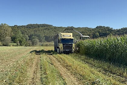 Kocaeli Topraklarında Bereket Patlaması: Aynı Tarladan Yılda İki Ürün Alınmaya Başlandı!