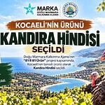 Kandıra Hindisi Kocaeli’nin Temsilci Ürünü Seçildi: MARKA Projelendirme Süreci Başladı!