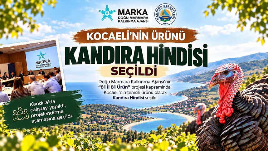 Kandıra Hindisi Kocaeli’nin Temsilci Ürünü Seçildi: MARKA Projelendirme Süreci Başladı!