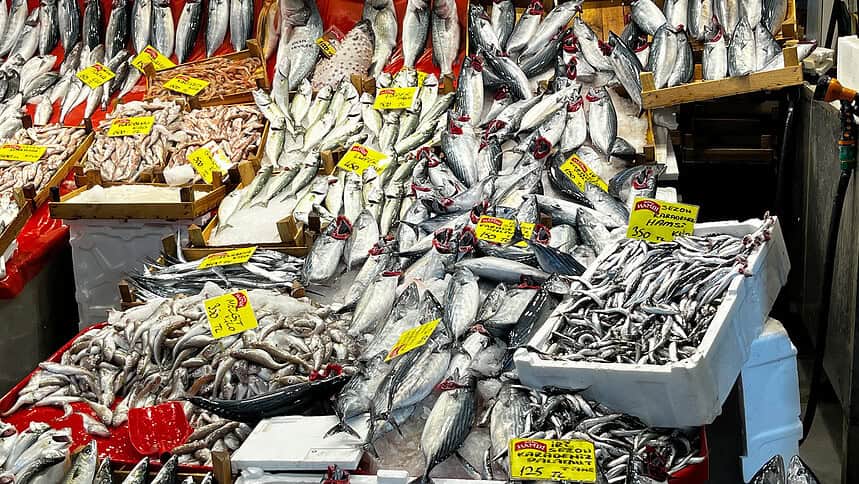 Kocaeli Balık Fiyatları Güncel Liste: Palamut, Hamsi Ve İstavrit Kaç Lira?