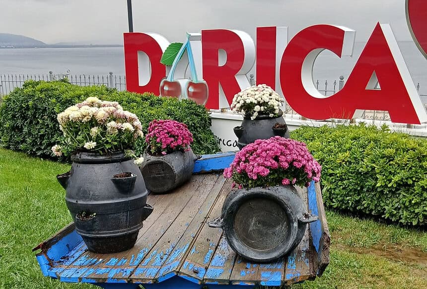 Darıca’nın Park Ve Şehitlikleri Rengarenk Oldu: Peyzaj Seferberliği Başlatıldı!