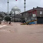 Sakarya'daki Selin Bilançosu Ağırlaştı! 170 Bin Hayvan Telef Oldu, 5 Köprü Yıkıldı