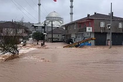 Sakarya'daki Selin Bilançosu Ağırlaştı! 170 Bin Hayvan Telef Oldu, 5 Köprü Yıkıldı