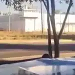 Cezaevinde Silahlar Ateşlendi: Sinaloa İsyanında 9 Mahkum, 1 Ziyaretçi Öldü