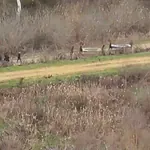FETÖ Bağlantılı Kaçakçılık Şebekesi Çökertildi: 14 Gözaltı