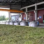 Kocaeli’de Yetişen Tıbbi Bitkiler Ormanya Markasıyla Sofralara Taşınıyor