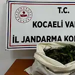 Kocaeli'nin 4 İlçesinde Narkotik Operasyonu: 7 Şüpheliye Adli İşlem Başlatıldı