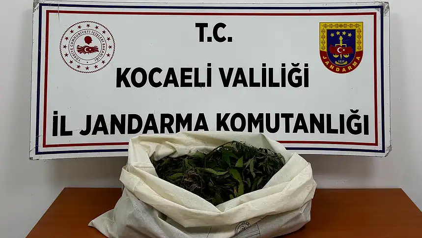 Kocaeli'nin 4 İlçesinde Narkotik Operasyonu: 7 Şüpheliye Adli İşlem Başlatıldı