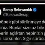 Savcılık Gazeteci Serap Belovacıklı Hakkında Resen Soruşturma Başlattı