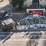 2 Ton 200 Kilo Esrar Ele Geçirildi, 3 Tutuklama!