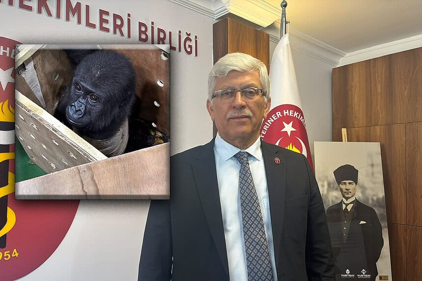 TVHB Başkanı Eroğlu'ndan 4 Ekim Çağrısı: "Yaban Hayvan Ticareti Tamamen Kaldırılmalı"